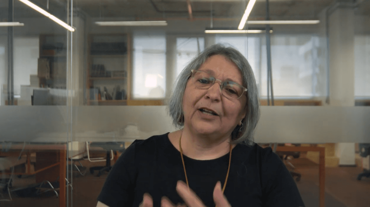 KATIA MAIA — Sistema político